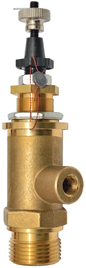 Brass pressure relief valve with threaded connections.